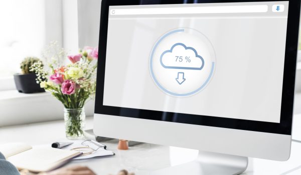 The Cloud Storage Data Information Concept